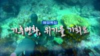 제주MBC 해양특집 ‘기후 변화,위기를 기회로’ 방송
