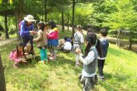 인천 남구, 숲속체험학교 어린이들에게 `인기`