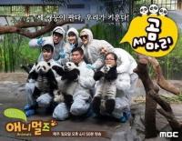 애니멀즈 '곰 세 마리', 중국 '개홍역 바이러스'로 결국 종영