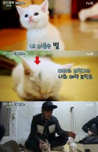 삼시세끼 벌이, 새 식구로 합류 산체와 애교 경쟁... 차승원-손호준 새로운 브로맨스 예고