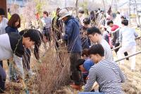 광주시, 21일 푸른길공원서 나무심기 행사 열어