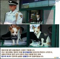 경찰서 정문 잘 지키라고 '정문이' …유기견 데려다 경사 진급 '개훈훈'