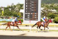 총상금 5억 원 농림축산식품부장관배(GП) 미리보기