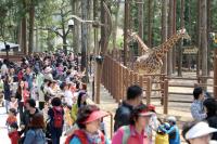 부산 유일 동물원 ‘삼정 더파크’ 잡음 끊이지 않는 까닭