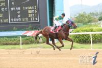 김영관 매직의 끝은 어디?...제9회 오너스컵서 1, 2위 휩쓸어