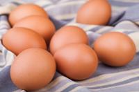 “계란, 맛·영양·가격 충족하는 완전식품”