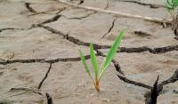 충남도, ‘도민피해 최소화’  도 가뭄대책본부 가동