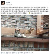 용인 '캣맘' 사건, 이연복 분노 "내가 너 잡으면 똑같이 해준다" 날선 경고
