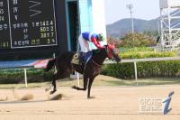 김영관 조교사, 경남신문배 1·2등 휩쓸어...브리더스컵 향해 순항