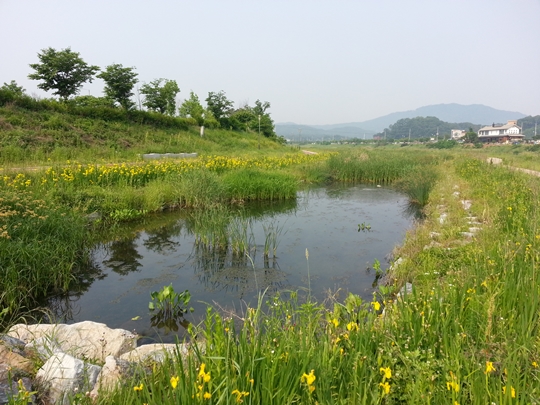 용인시, 생태하천복원 등 362억 들여 하천 정비 나서