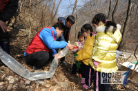 양평 단월 고로쇠축제에서 즐기는 체험과 힐링