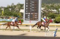 제19회 코리안더비 시행...국산3세 최강마 뽑는 삼관마 시리즈 두 번째 관문