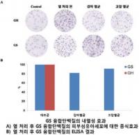 넥스젠바이오텍, 국내 최초 내열성 성장호르몬 개발 성공