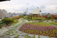 대구 서구청 '옥상생태공원' 조성