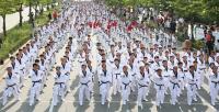 전북도 2017세계태권도대회 ‘붐업’···성공기원 한마당 축제