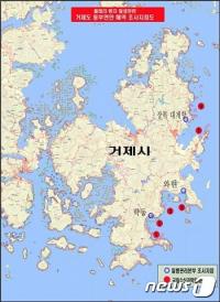 해수부 "수산물 위생 이상無"…정기검사 콜레라균 미검출