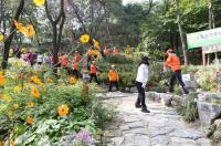강북구, 10일 오동근린공원 꽃샘길서 꽃 축제 개최