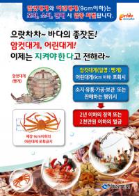 경북도, 주요 수산자원 보호 위한 '집중 단속' 실시