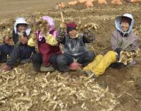 충북 제천시, GAP약용작물 생산지원사업 본격 추진