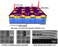 금 촉매로 CO2 90% 환원 달성…탄소 자원화 청신호