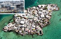 축구장 절반 크기 바위섬 ‘미징고’ 1000여 명이 바글바글