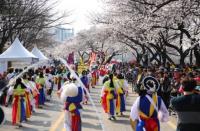 영등포구,  2017 영등포 여의도 봄꽃축제…4월 1일  개막