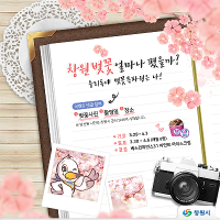 창원시 SNS ‘진해군항제 기념 실시간 개화현황 사진이벤트’ 개최 