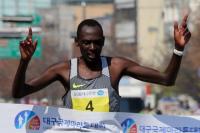 2017대구국제마라톤대회 성료…남여 우승 케냐 키소리오· 로티치 차지