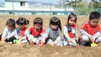 대구 달서구 "엄마, 고구마 심으러 가요"