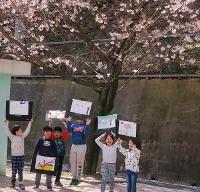 부산 명장초, ‘벚꽃축제’와 ‘동래읍성 걷기’행사 펼쳐