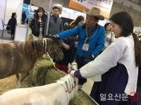 렛츠런파크 부산경남, 가야문화축제에 ‘미니호스’ 나들이