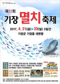 기장군, 고소한 봄 멸치 먹으로 기장군으로 오세요