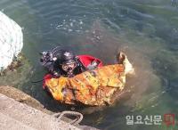 통영해경, 해양환경 정화활동 적극적