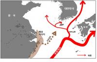 국립수과원, 국내 유입 괭생이모자반, 중국종과 일치 밝혀내 