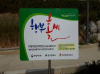 대구시, 행자부 '2016 행복홀씨 입양사업' 평가 우수기관 선정