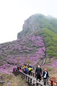 산청, 황매산 철쭉제 연휴동안 10만여명 다녀가