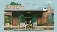 ‘효리네 민박’ 이효리 집 공개, 통나무집+잔디 정원 “효리표 힐링 하우스”