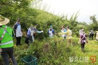 광양경제청, 매실수확 일손돕기 구슬땀