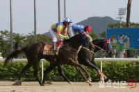  렛츠런파크 부산경남 ‘제주의하늘’, 코리안오크스 역전 우승 대이변