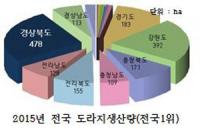 경북도, "'도라지 피해보전직접지불금' 신청하세요"