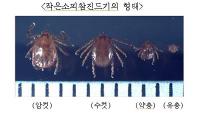 경북도, '야생진드기' 주의…야외활동 후 즉시 샤워 등 '예방수칙' 준수 당부