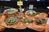 경남도 농업기술원, 식용곤충의 맛있는 변신 ‘향食대첩’ 
