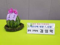 구미시 '씨없는 미니수박' 품평회 우수상 수상
