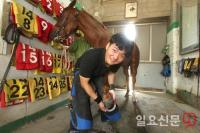 20대를 사로잡은 말 산업 이색 직업 ‘장제사’ 