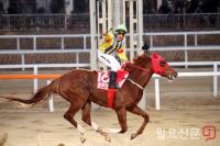 서울 ‘클린업조이’, ‘부산광역시장배’에서 명예회복하나? 