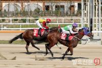 렛츠런파크 부산경남, 총상금 13억 퀸즈투어 시리즈 2차전 KNN배 개최 