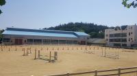 복용실내승마장, 승마활성화 프로그램 운영 