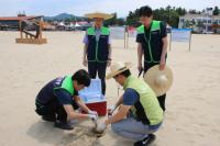 한국석유관리원, 동해안 해수욕장 모래 오염도 확인...`적합 판정`
