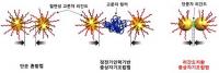 전통한지 이용 슈퍼커패시터 소자 개발