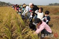 전남농업박물관, 21일 가을 들녘 수확 체험행사